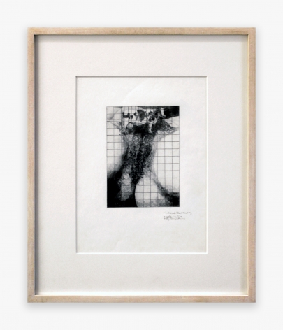 Betty Tompkins Cow Cunt Grid #2, 1974