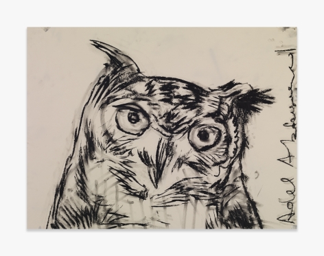 Adel Abdessemed Owl, 2015